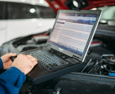 Pre-Purchase Inspection (PPI)